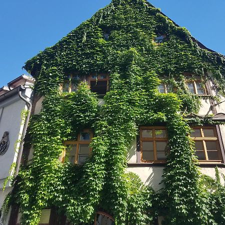 Ferienwohnung Am Erfurter Dom Екстер'єр фото